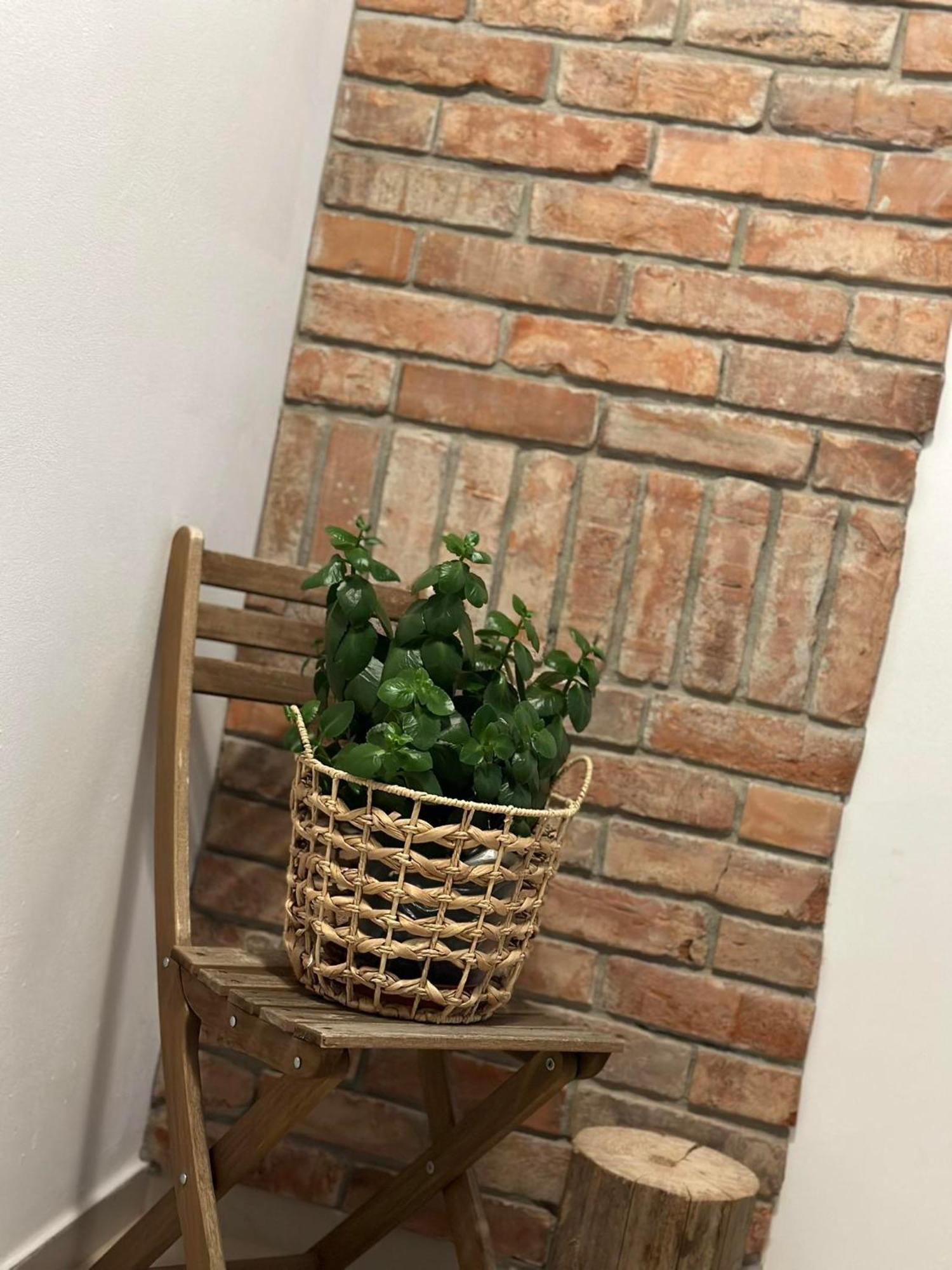 Apartament Fajny Kat Ustrzyki Dolne Exteriör bild